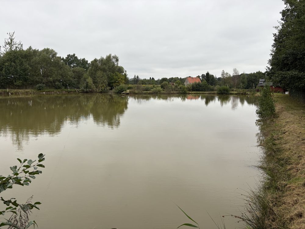 Działka Wojciechów. Zdjęcie 6