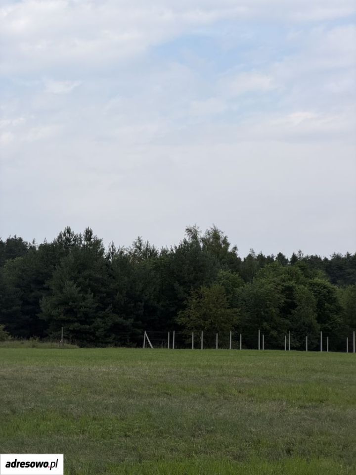 Działka budowlana Zimna Woda. Zdjęcie 7