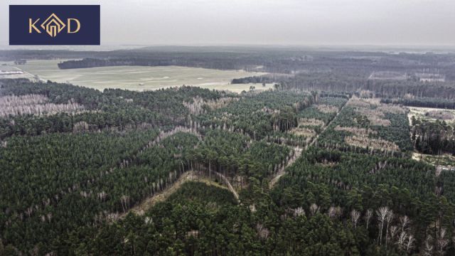 Działka inwestycyjna Dąbrowa Nowa. Zdjęcie 23