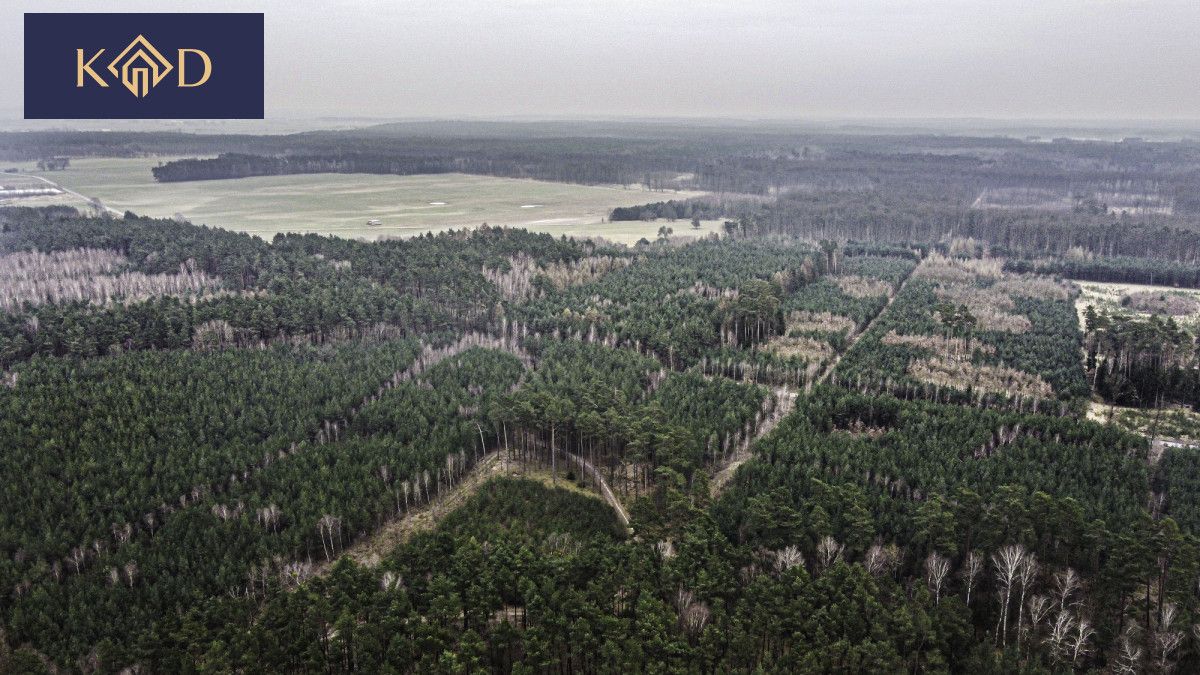 Działka inwestycyjna Dąbrowa Nowa. Zdjęcie 23