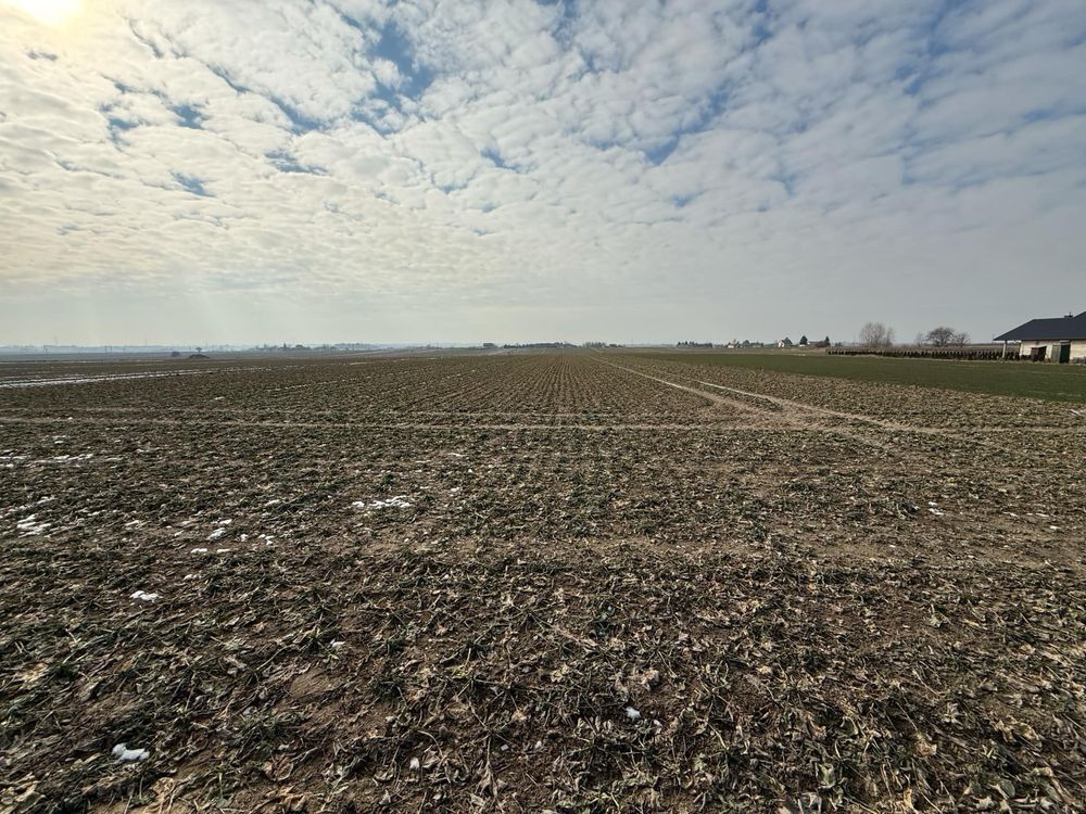 Działka budowlana Niemce Włóki. Zdjęcie 2