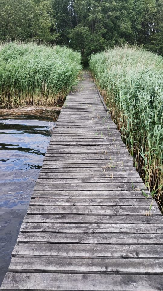 Działka budowlana Słupia. Zdjęcie 2