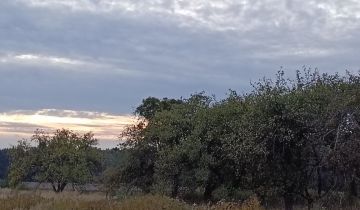 Działka rolno-budowlana Kozioł