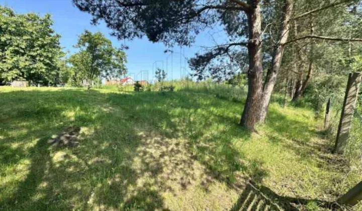 Działka budowlana Tarchalice, Tarchalice 50