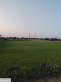 Działka budowlana Domaszowice, ul. Pogodna. Zdjęcie 2