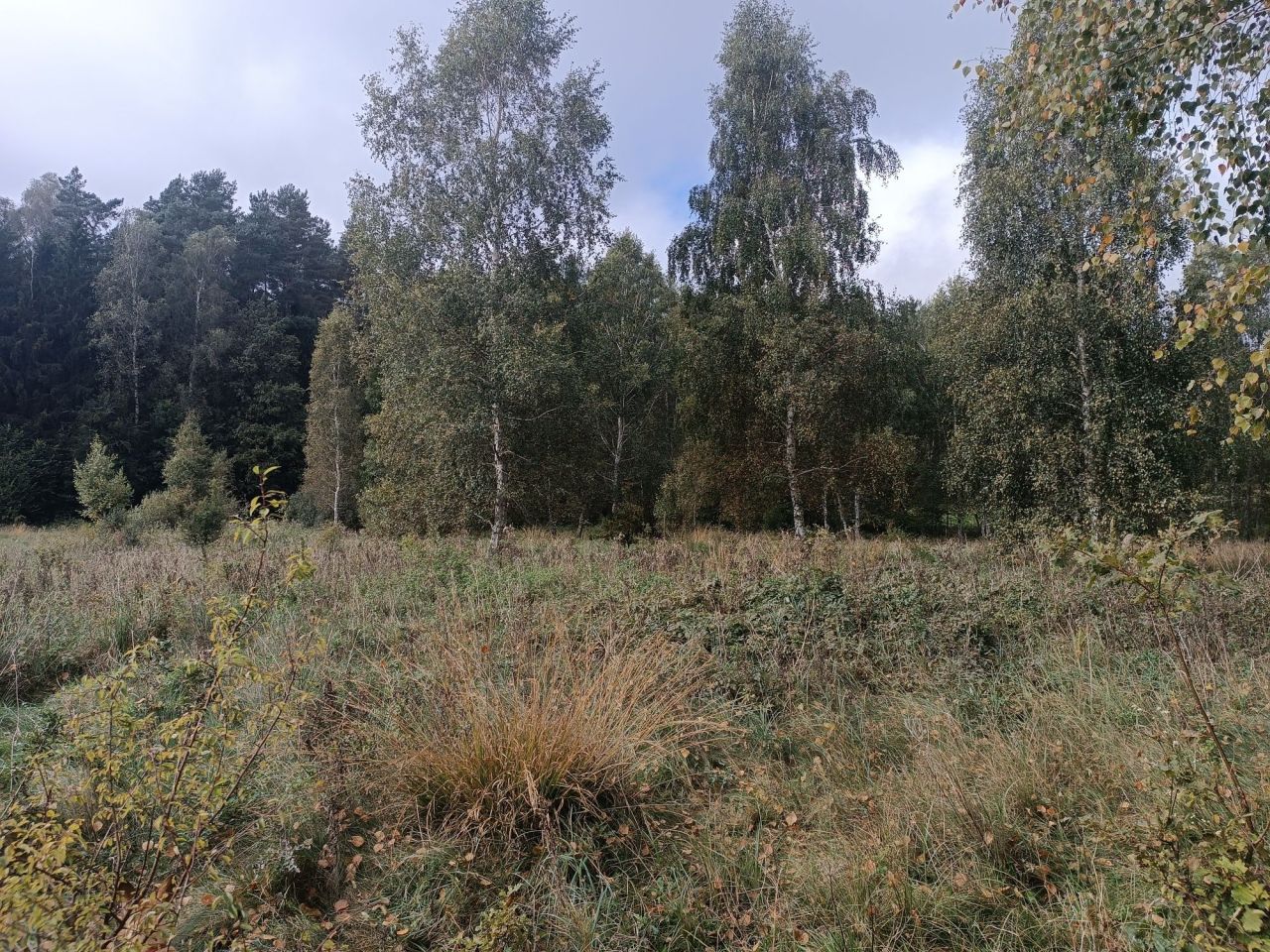 Działka rolno-budowlana Gradki. Zdjęcie 7