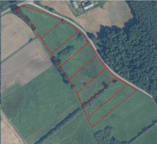 Działka siedliskowa Frednowy. Zdjęcie 1