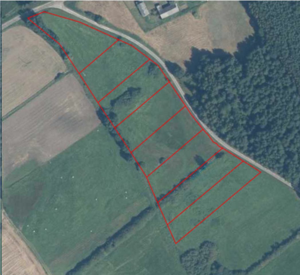 Działka siedliskowa Frednowy