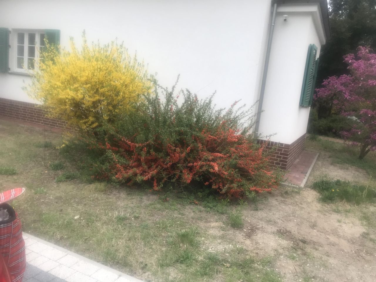 dom wolnostojący, 6 pokoi Szczecin Wielgowo, ul. Uzdrowiskowa. Zdjęcie 9