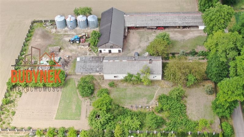 Działka rolna Janiewice. Zdjęcie 12