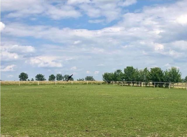 Działka inwestycyjna Parzęczew. Zdjęcie 1