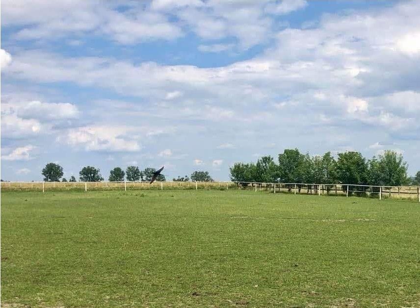 Działka inwestycyjna Parzęczew. Zdjęcie 1