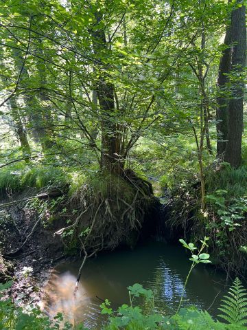 Działka budowlana Pszów. Zdjęcie 19