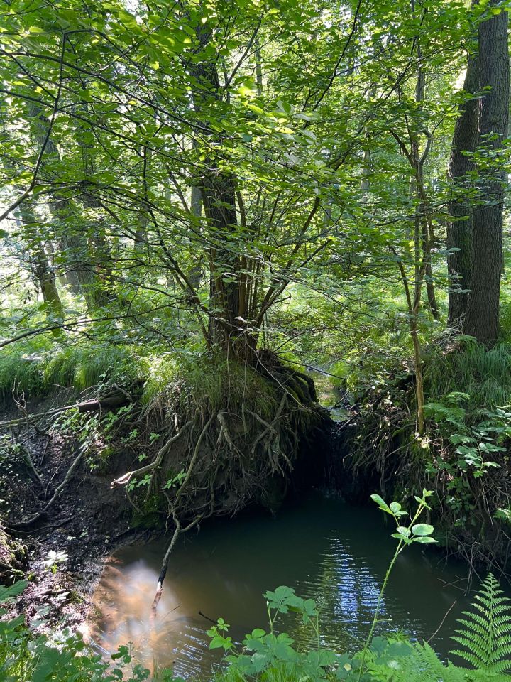 Działka budowlana Pszów, Pszów. Zdjęcie 19
