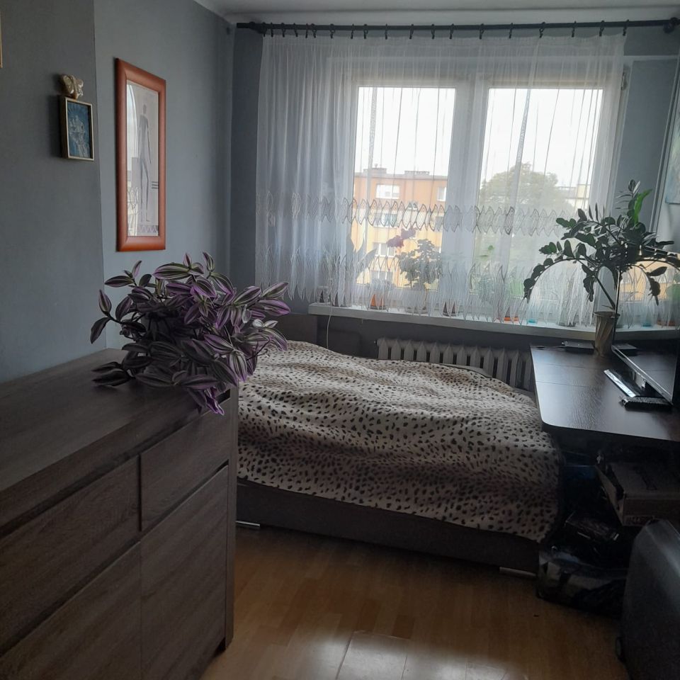 Mieszkanie 2-pokojowe Głogów, ul. Obrońców Pokoju. Zdjęcie 2