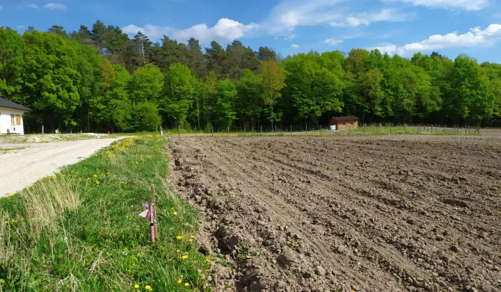 Działka budowlana Janów, ul. Pana Tadeusza