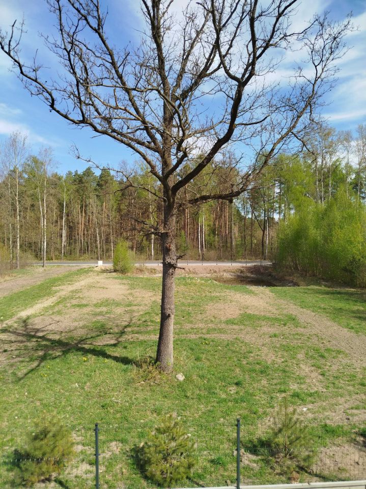 Działka rekreacyjna Rasy. Zdjęcie 4