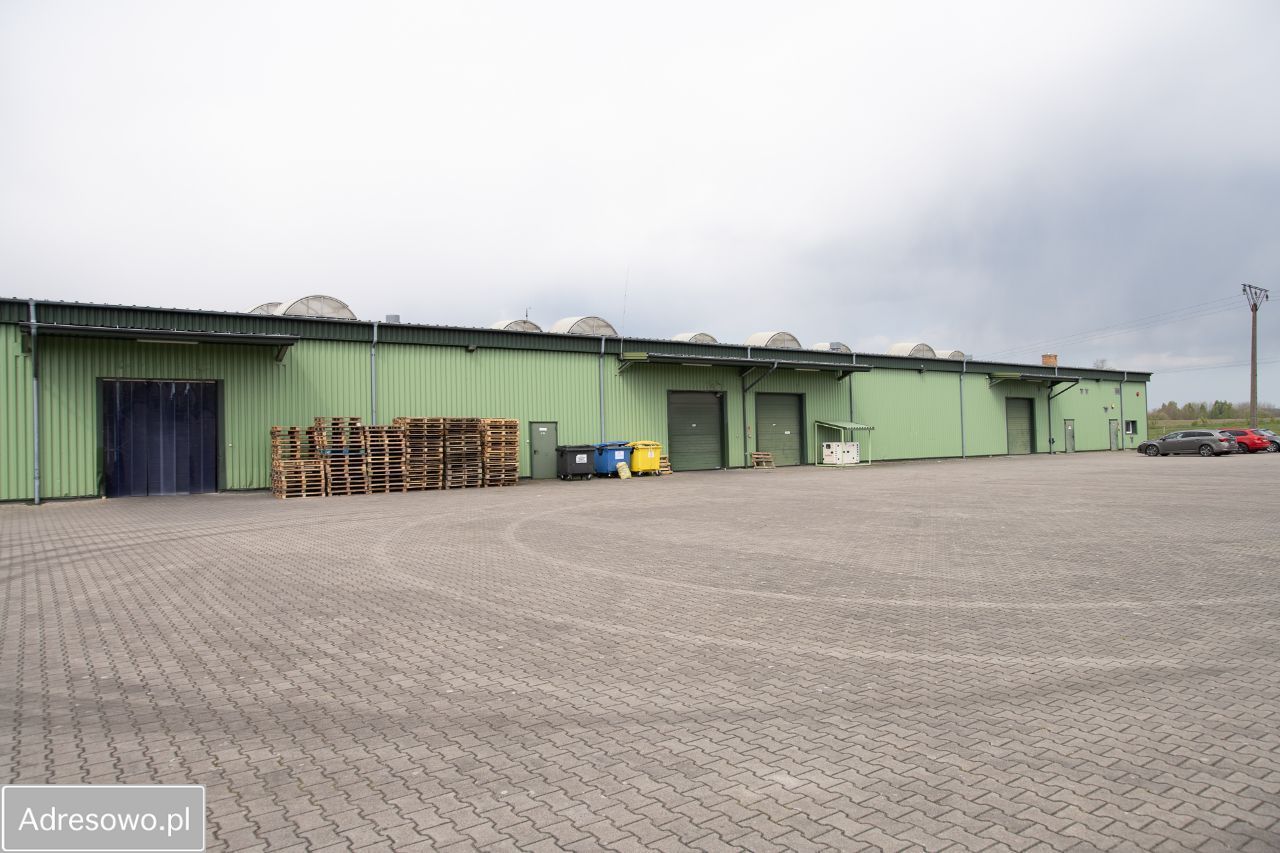 Hala/magazyn Koszalin, ul. Gnieźnieńska. Zdjęcie 6