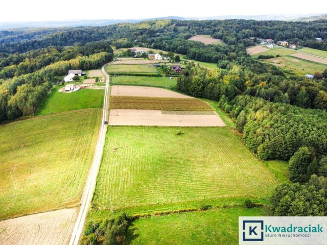 Działka budowlana Huta Gogołowska. Zdjęcie 4