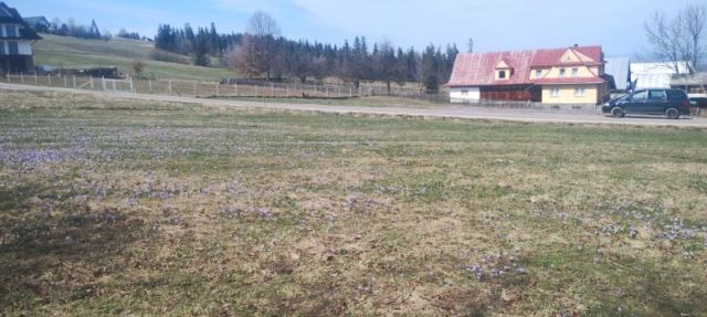 Działka budowlana Czerwienne Pałki. Zdjęcie 2