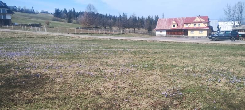 Działka budowlana Czerwienne Pałki. Zdjęcie 2