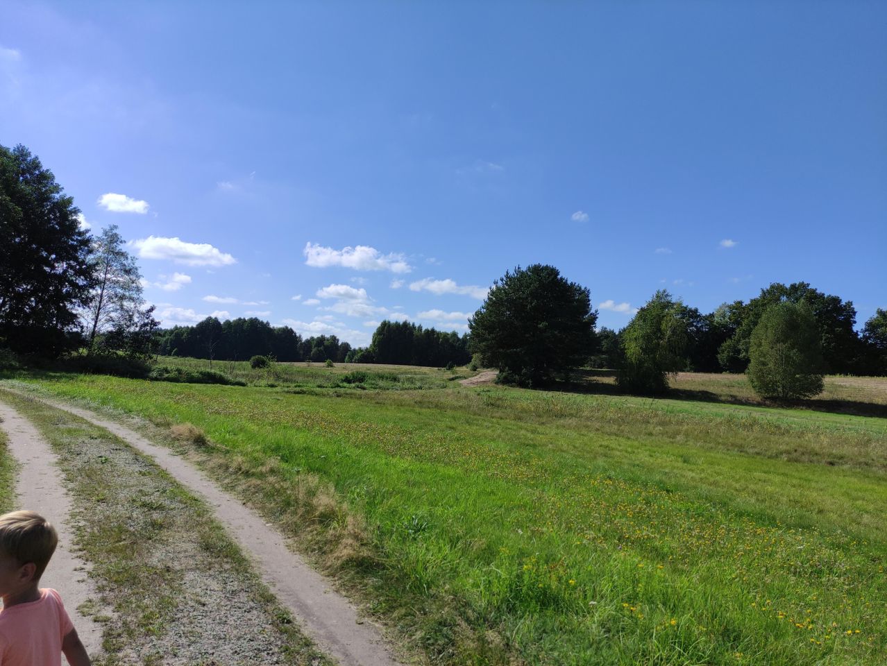 Działka rekreacyjna Skoszewo, ul. Jeziorna. Zdjęcie 20