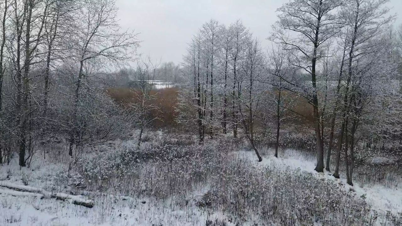 Działka budowlana Kaźmierów. Zdjęcie 3