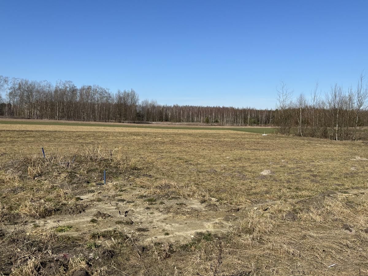 Działka rolno-budowlana Aleksandrów. Zdjęcie 9