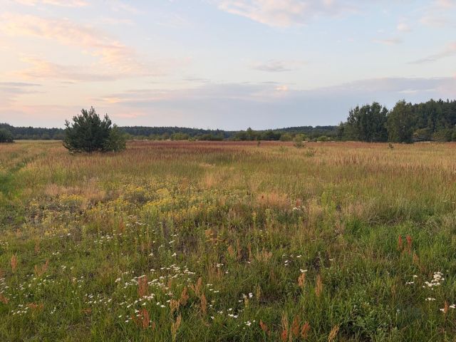Działka rolno-budowlana Podlesie. Zdjęcie 1