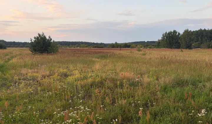 Działka rolno-budowlana Podlesie