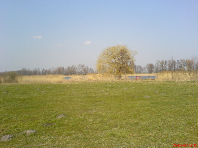 Działka rolna Błotnica. Zdjęcie 1