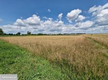 Działka budowlana Żory Osiny, ul. Wiosenna
