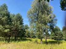 Działka budowlana Warszawa Aleksandrów. Zdjęcie 3