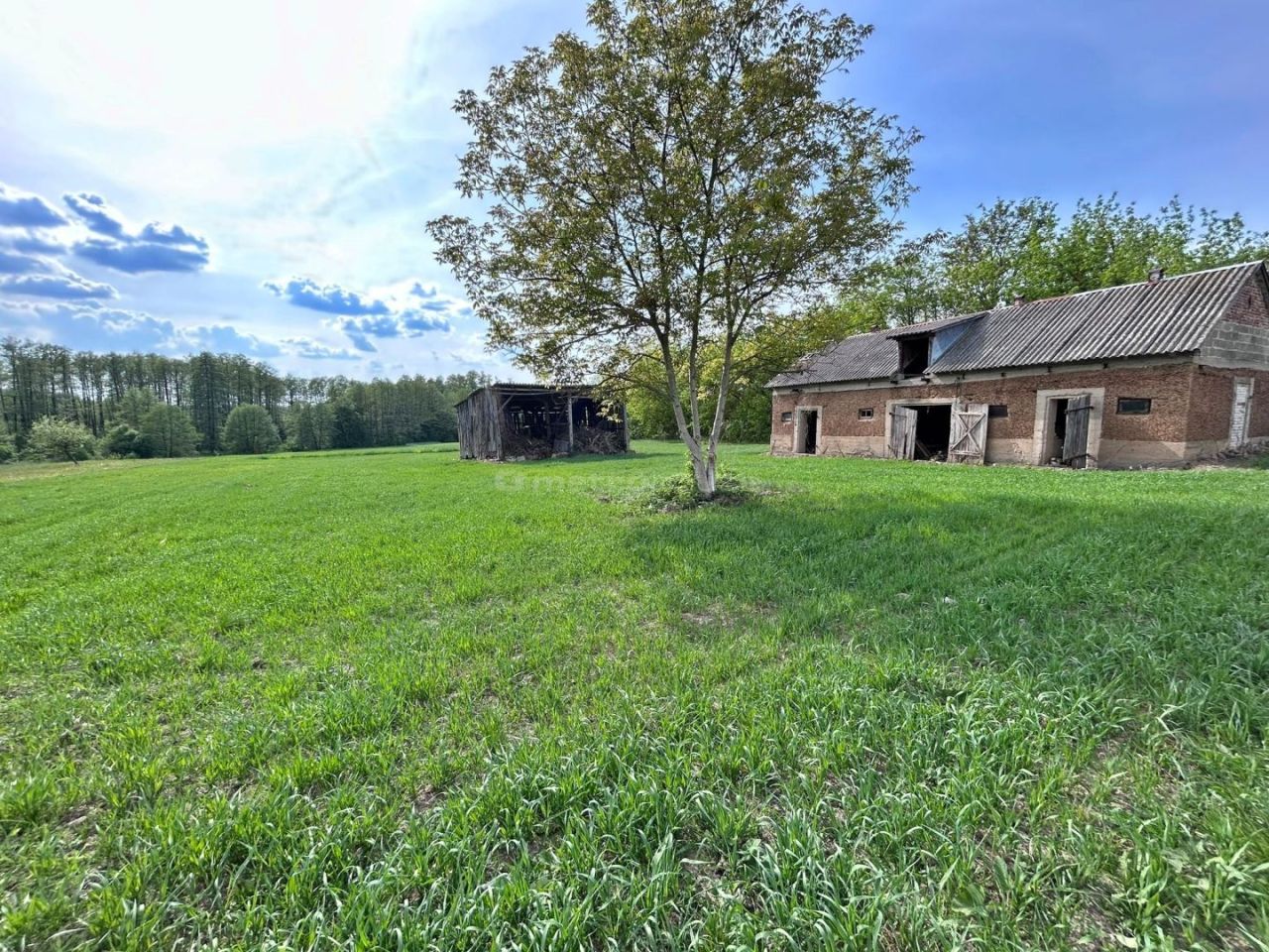 Działka siedliskowa Świeszewo. Zdjęcie 10