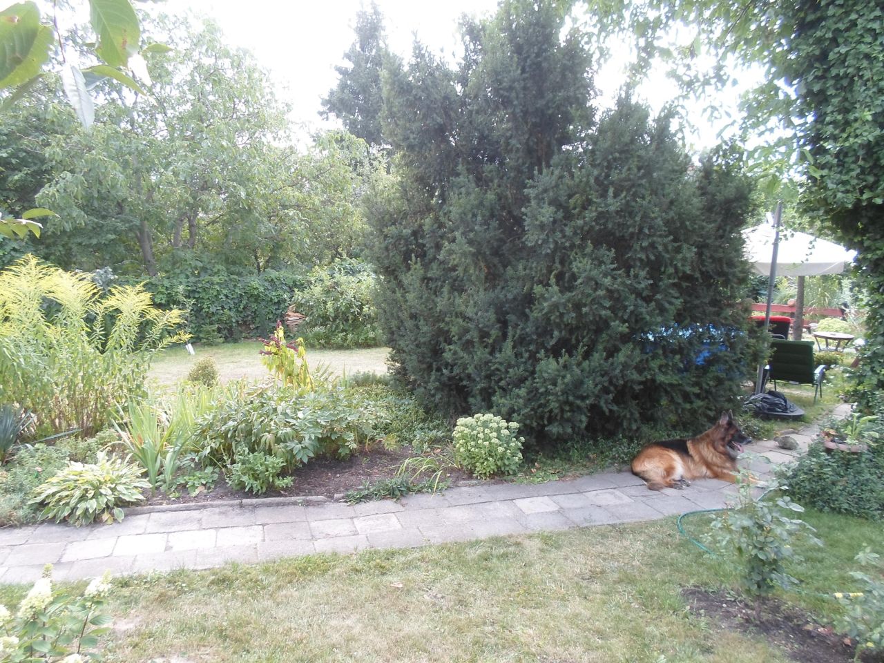 Działka rod Toruń Mokre, ul. Bolesława Chrobrego. Zdjęcie 10