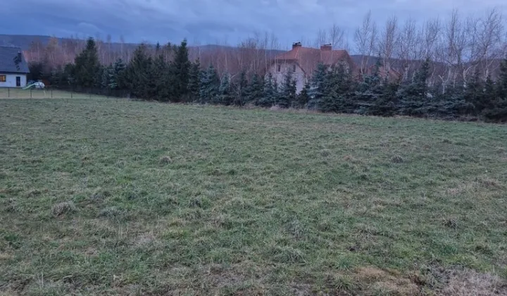 Działka budowlana Witoszów Dolny, Witoszów Dolny