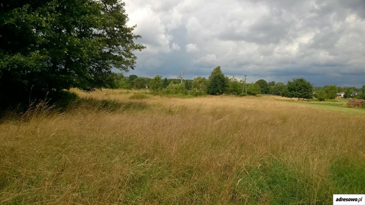 Działka Bratkowice. Zdjęcie 5