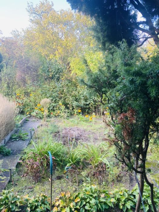 Działka rod Gdańsk Matarnia. Zdjęcie 12