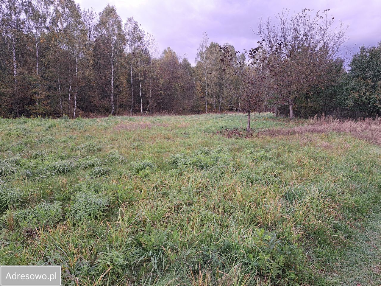 Działka budowlana Radomsko, ul. Spokojna. Zdjęcie 6
