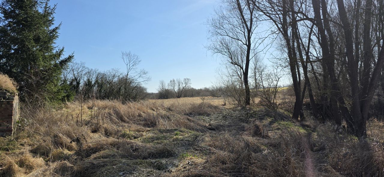 Działka inna Rzepnowo, Rzepnowo. Zdjęcie 10