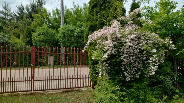 Działka budowlana Popielżyn-Zawady. Zdjęcie 8