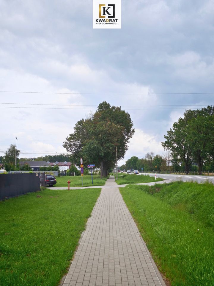 Działka Wielgolas Brzeziński. Zdjęcie 4