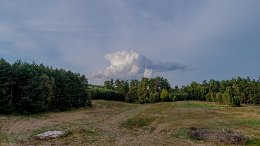 Działka budowlana Łagówek. Zdjęcie 6
