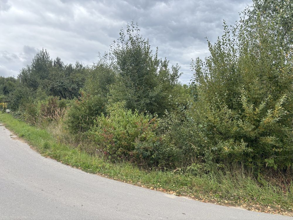 Działka budowlana Wola Łagowska. Zdjęcie 2