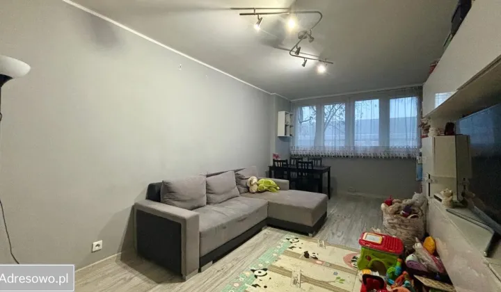 Mieszkanie 2-pokojowe Oleśnica, ul. Marii Skłodowskiej-Curie