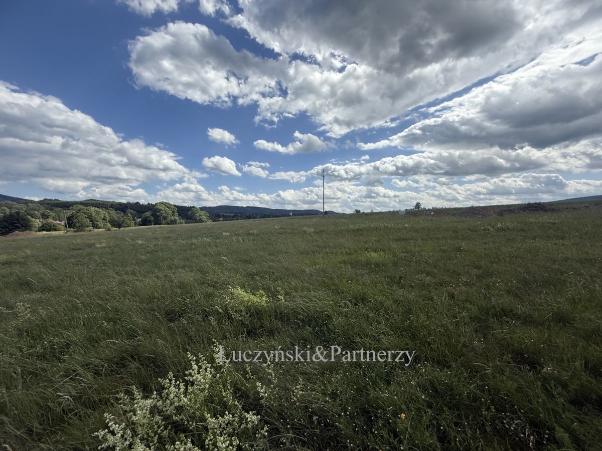 Działka inwestycyjna Olszyny. Zdjęcie 3