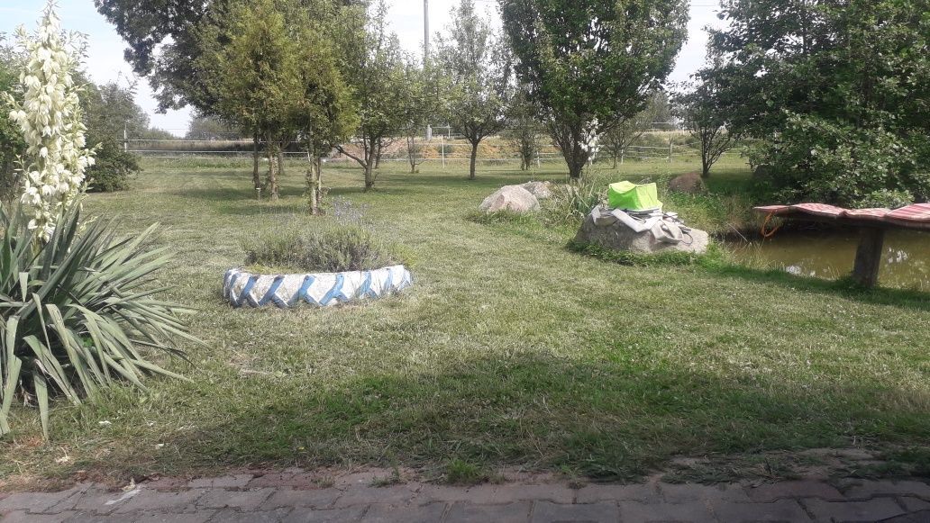 gospodarstwo Dębiec. Zdjęcie 6