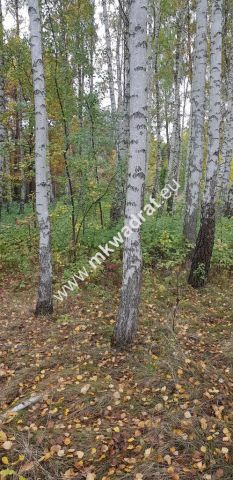 Działka budowlana Siestrzeń. Zdjęcie 2