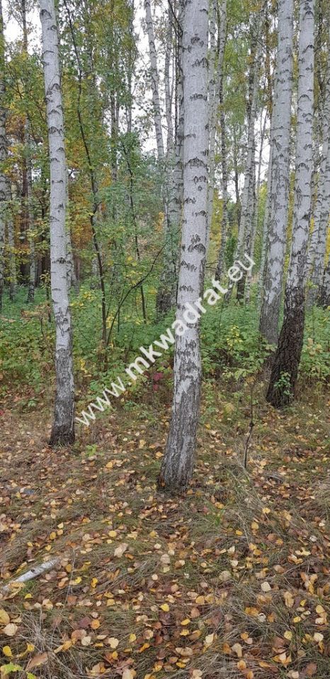 Działka budowlana Siestrzeń. Zdjęcie 2