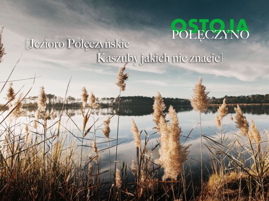 Działka budowlana Połęczyno. Zdjęcie 4